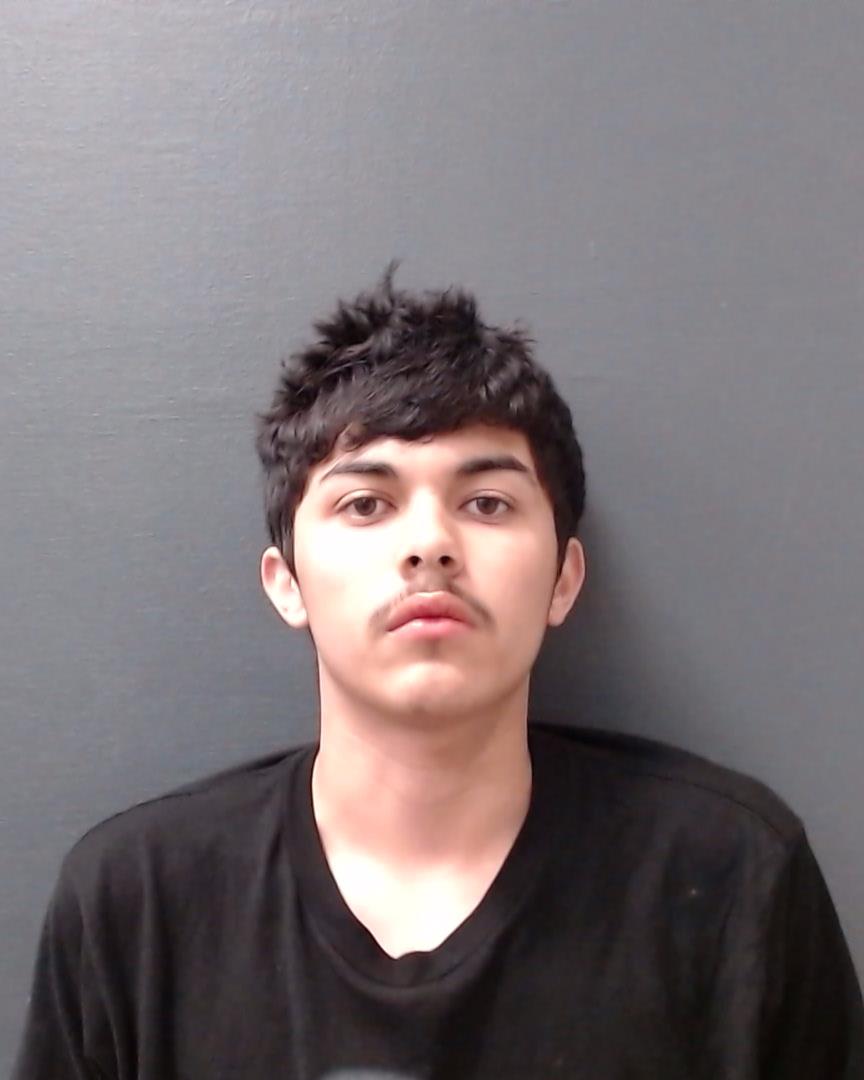 FLORES, EMMANUEL booking photo