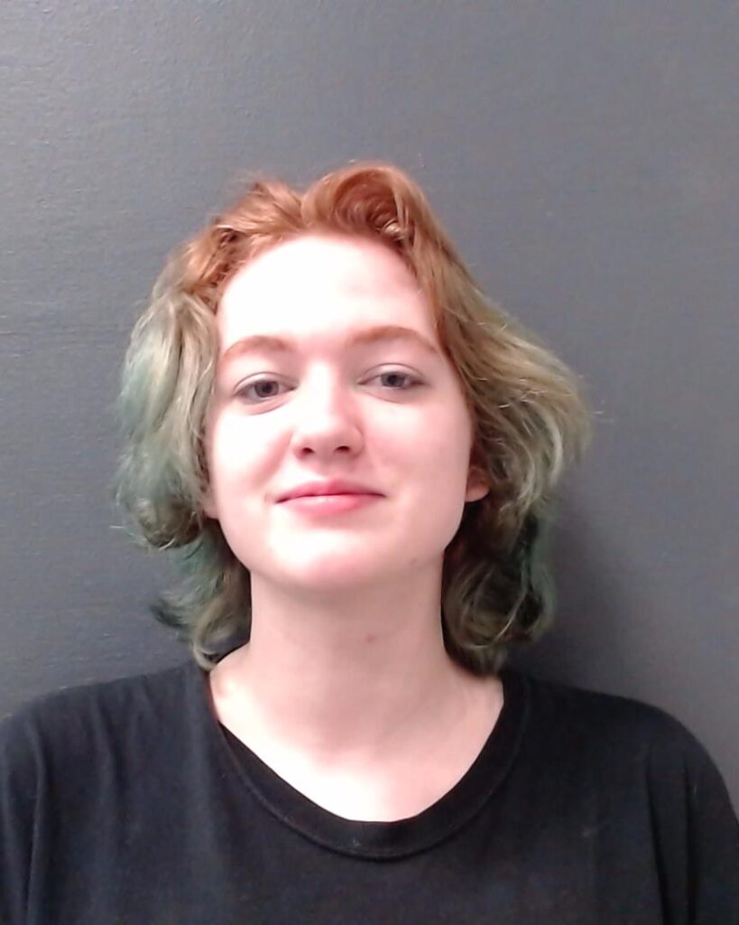 HARVEY, GRACE KATHRYN arrest record in Comal County, Texas HARVEY, GRACE KATHRYN arrested in Comal County, Texas mugshot