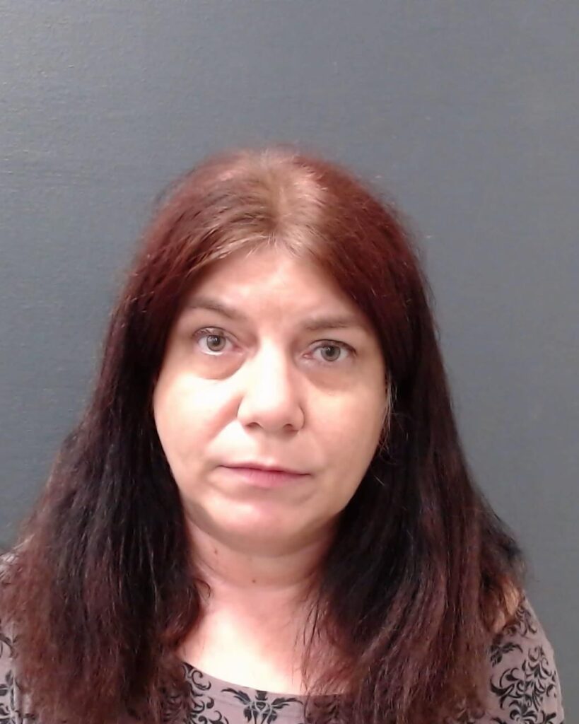 MCGILL, SONYA REE'NE arrested in Comal County, Texas mugshot