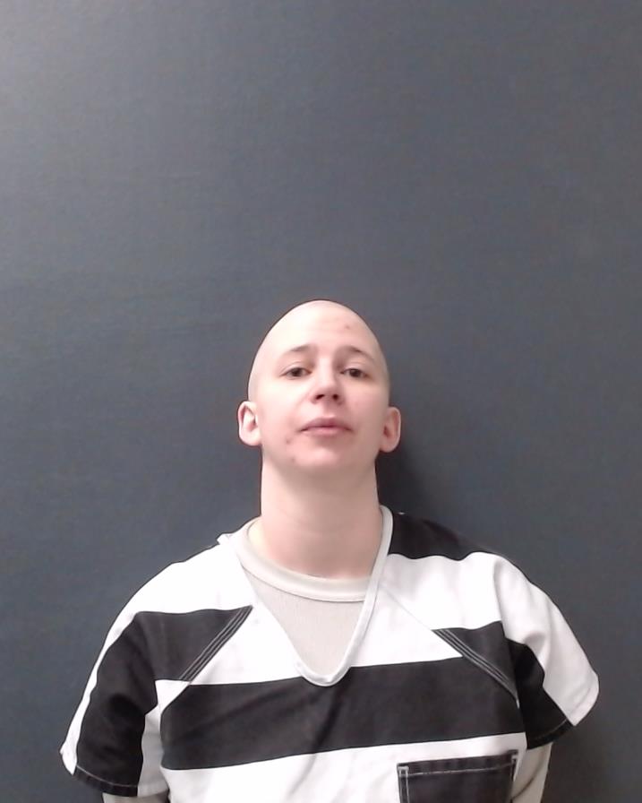 ESTRADA, ELISE EARLINE booking photo