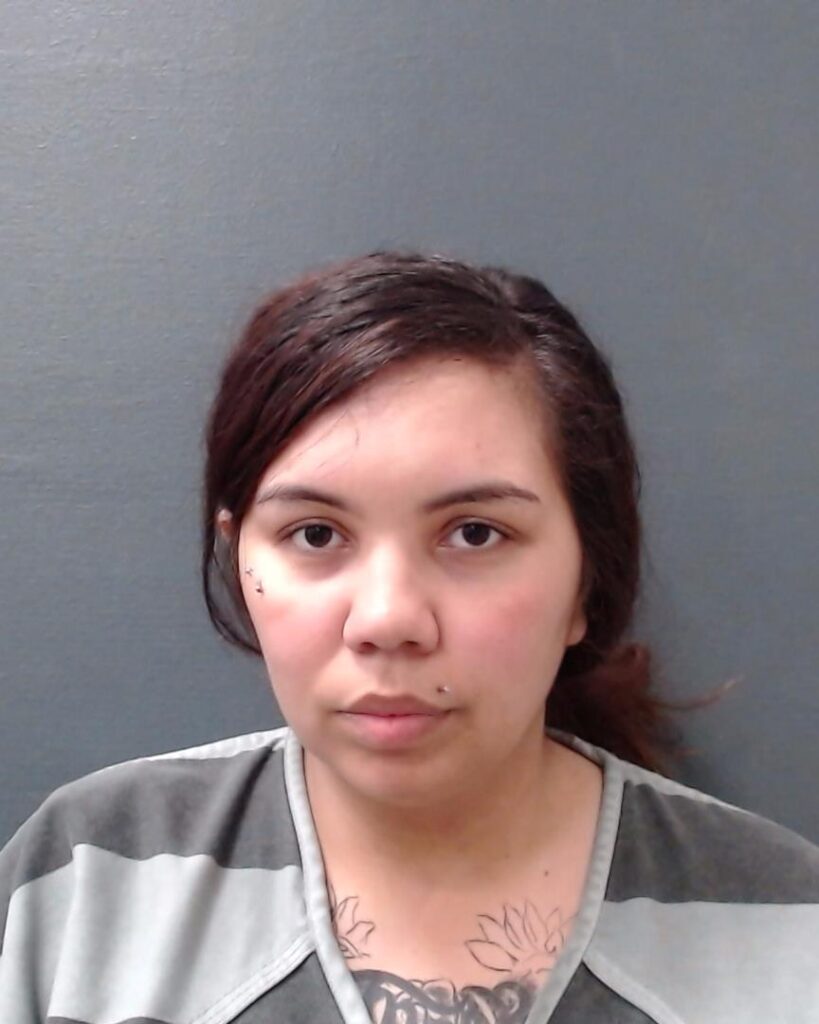 GALVAN, REBECCA NICOLE arrested in Comal County, Texas mugshot