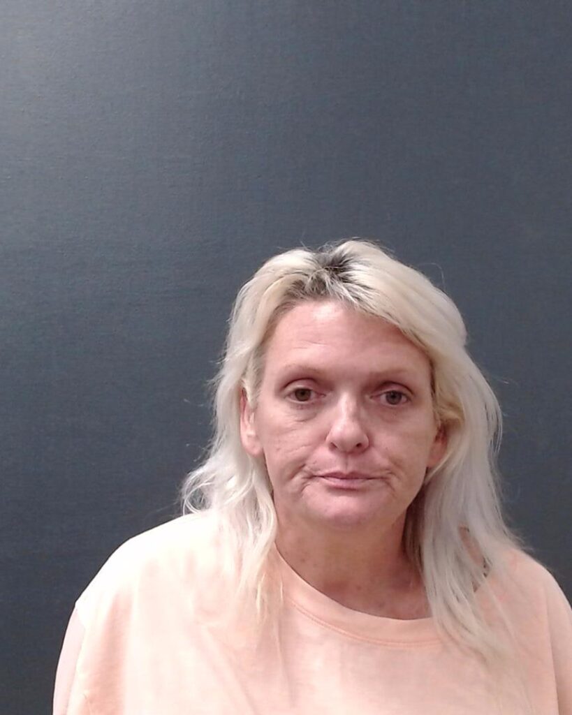 DOLLINS, GINA MARIE arrested in Comal County, Texas mugshot
