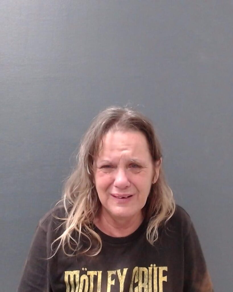 TYSON, SHARI LYNN arrested in Comal County, Texas mugshot