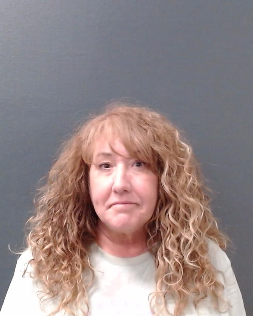 RENNER, JANNA ALICEE arrest record in Comal County, Texas RENNER, JANNA ALICEE arrested in Comal County, Texas mugshot