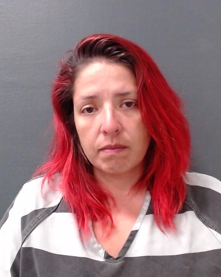 SALINAS, LARA NOEL booking photo