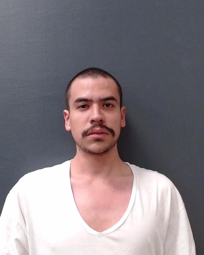 CASTILLO, JOHANN JAIME booking photo