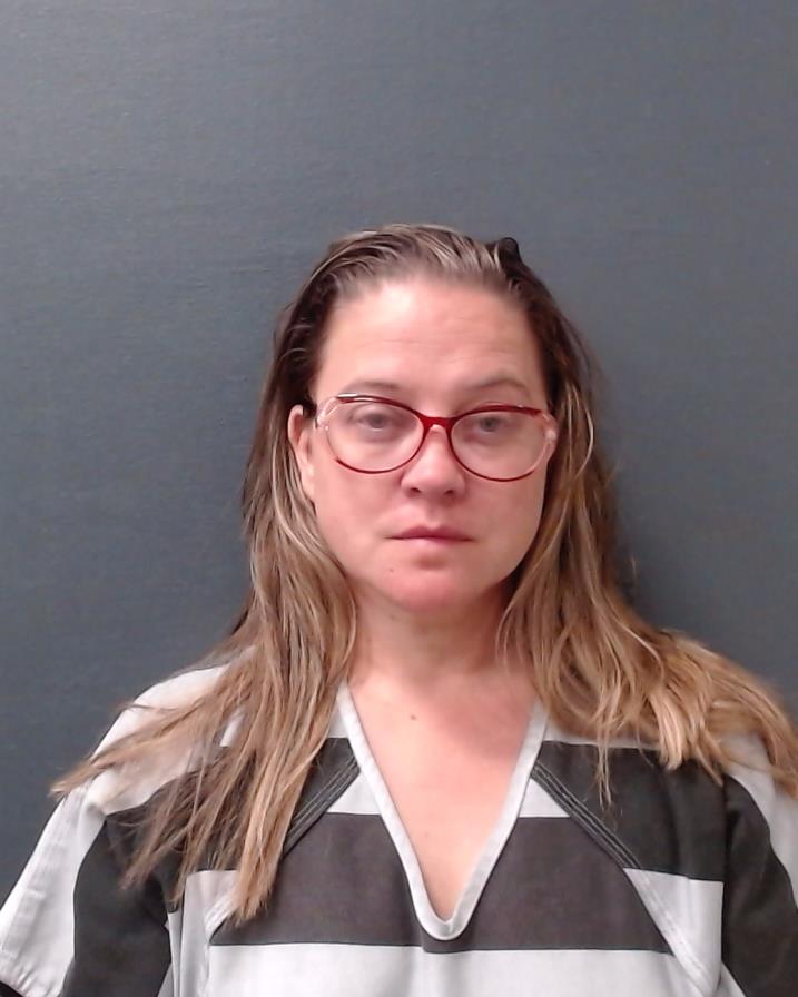 PALMER, DAWN MARIE booking photo