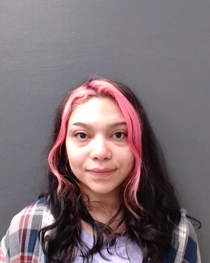 ARMENDARIZ, DANIELLE EVE booking photo