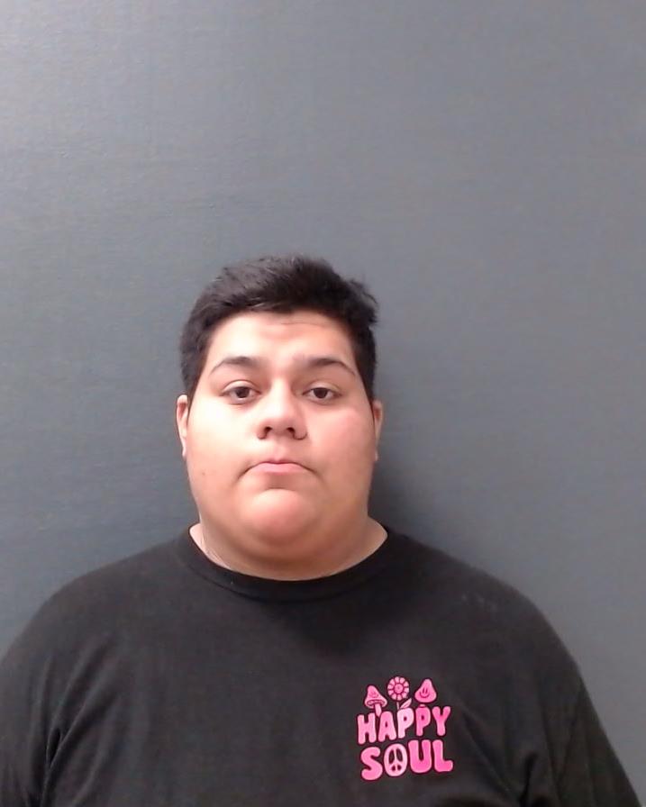 VIDAURRI, BRIANNA ROBERTA arrested by Comal County SO/PD