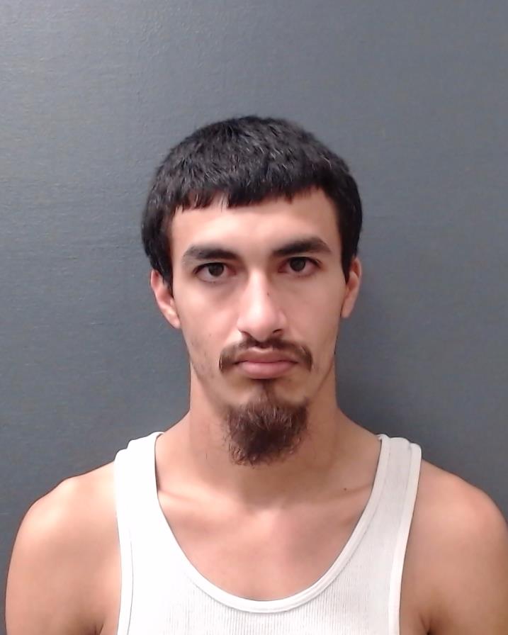 MEDELLIN, XAVIER LOUIS booking photo