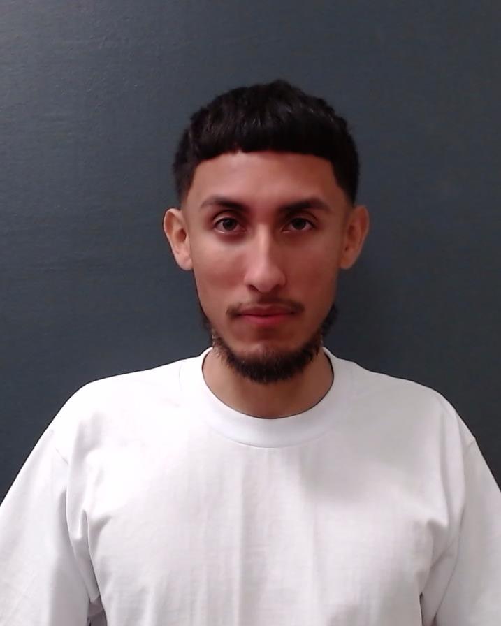 HERNANDEZ, WILLSON EDUARDO booking photo