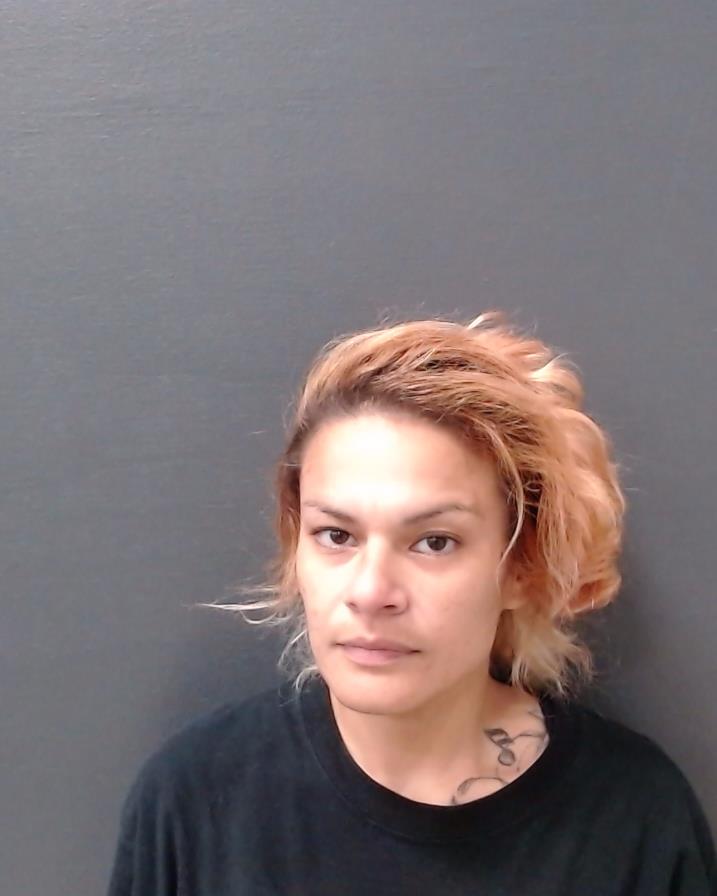 ELIZONDO, ELIZABETH ROSE V booking photo