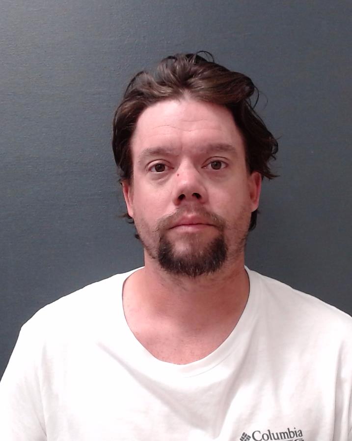 GIBBINS, TOMMY BRANDON booking photo