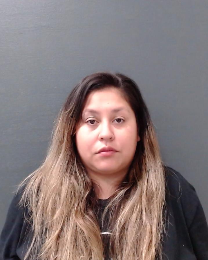 GONZALEZ, ANASTACIA ALVIZO booking photo