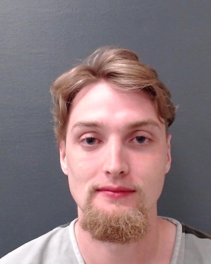 LEE, TROY DANIEL booking photo