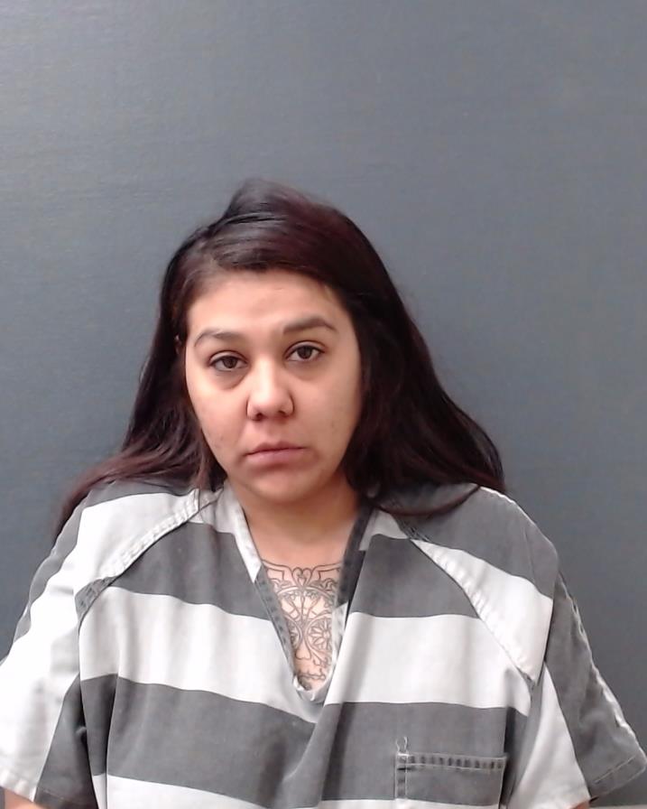ALVAREZ, DIANA DELIA booking photo