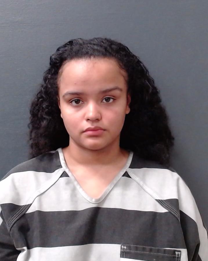 BOOKER, BRIZZA LAJOYCE booking photo