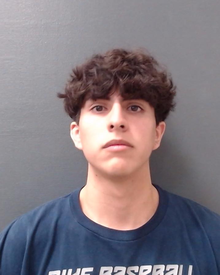 LEOS, BRANDON SETH booking photo