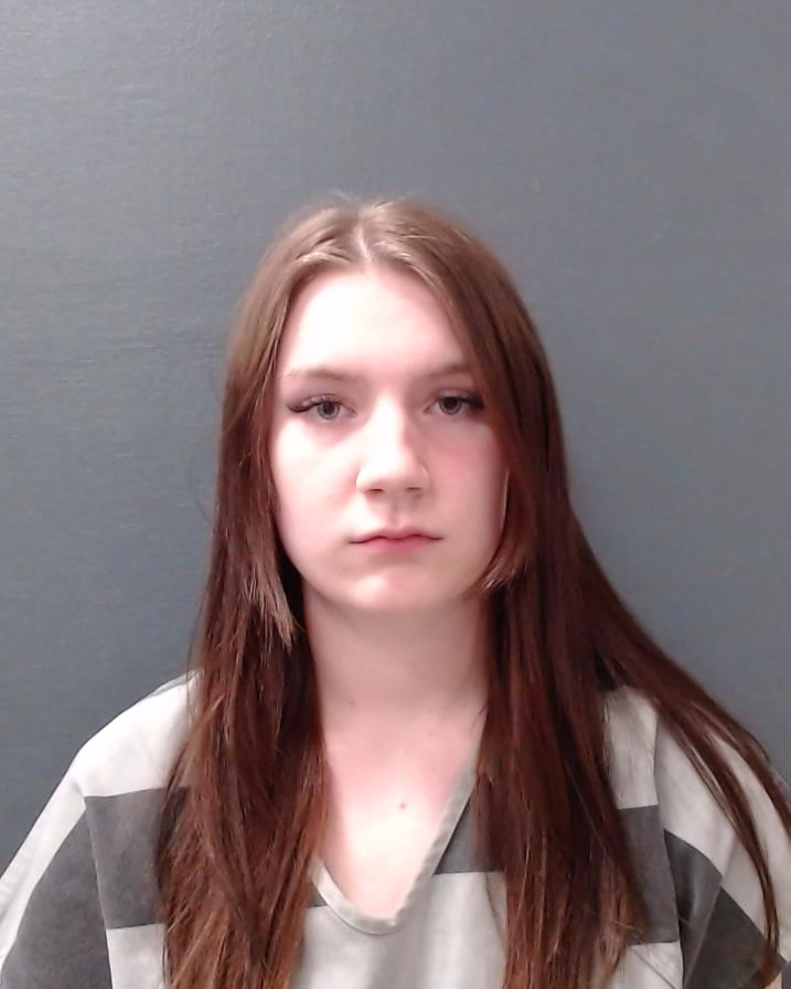 DISHMAN, DRU HELEN booking photo