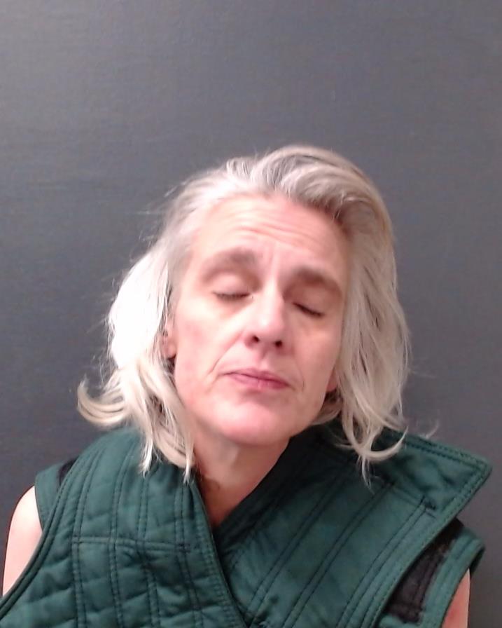 CLARKE, SHAYLEEN DENISE booking photo