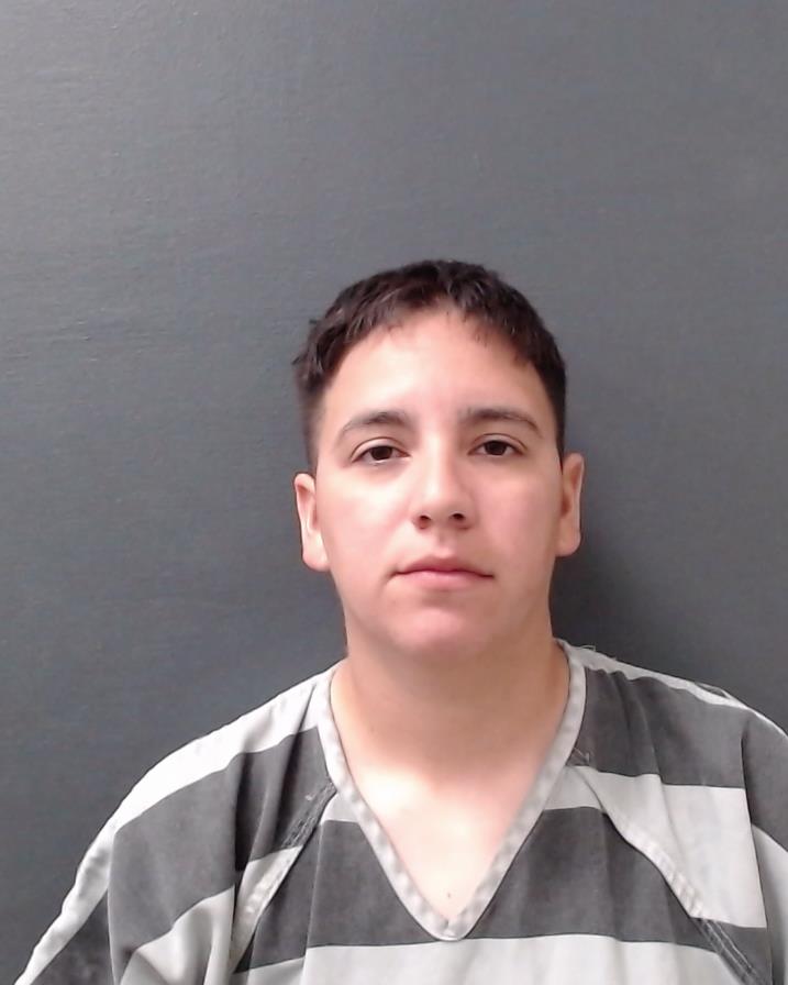 AVILA, KASSANDRA MARIE booking photo