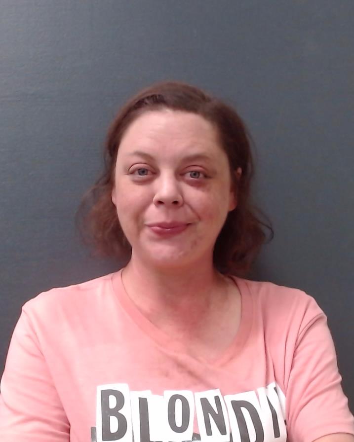 SCHEEL, RENEE LYNN booking photo
