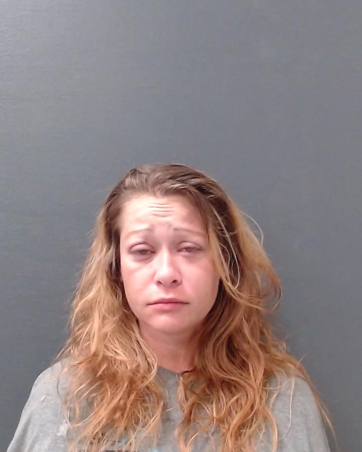 VANECEK, DANIELLE LORRAINE booking photo