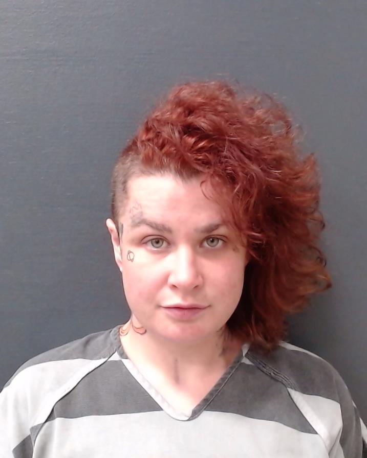 KIEVIT, SARIN ELIZABETH booking photo