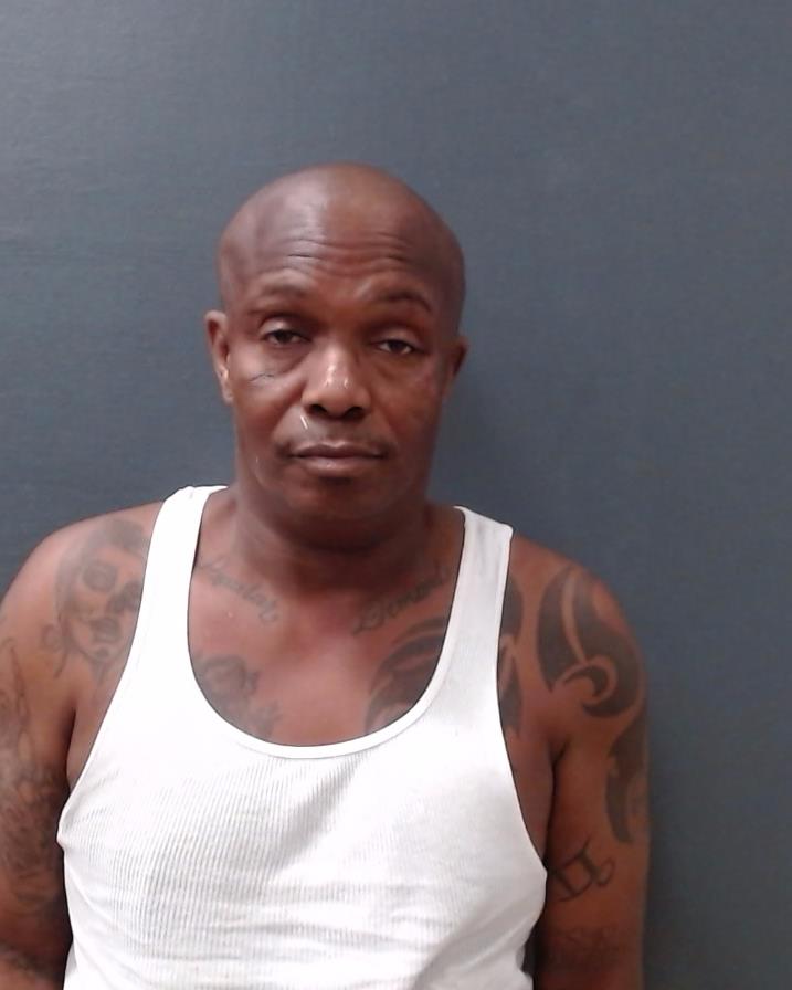 JOHNSON, ASHLEY MACK booking photo