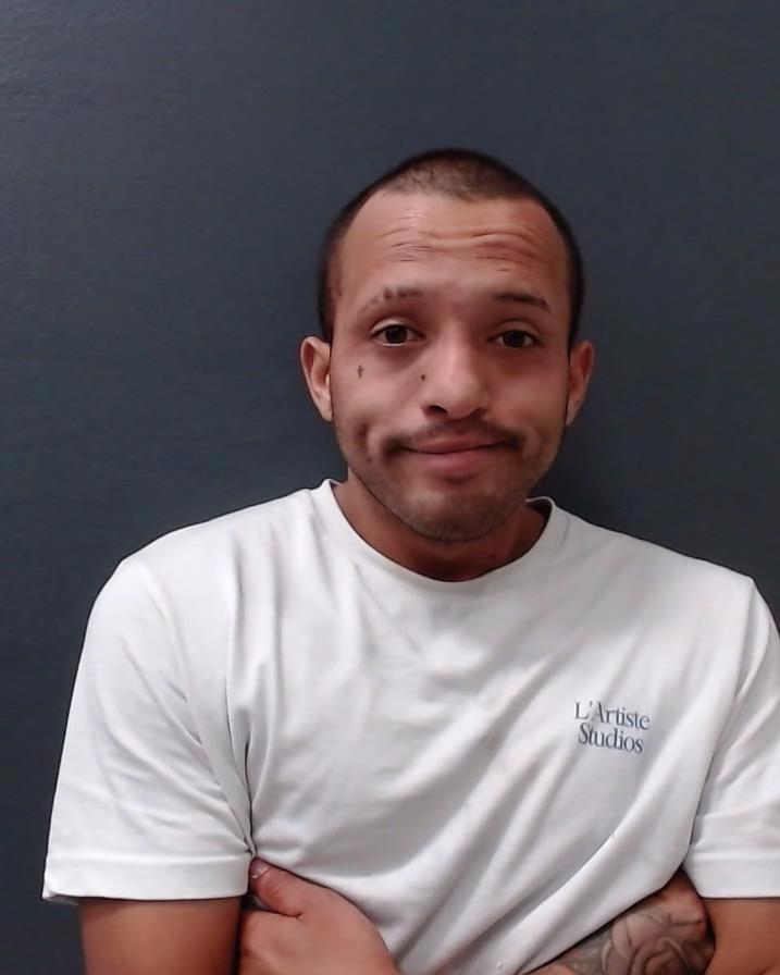 GOMEZ, VICENTE MIGUEL booking photo