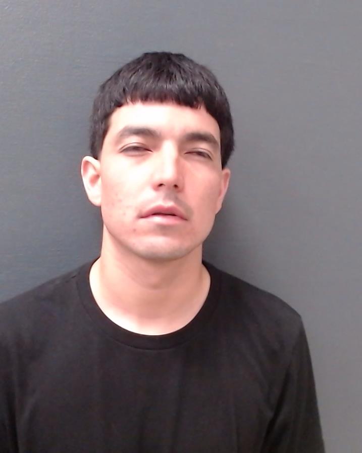 LEO, JORGE ABEL booking photo