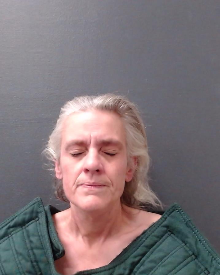 CLARKE, SHAYLEEN DENISE booking photo