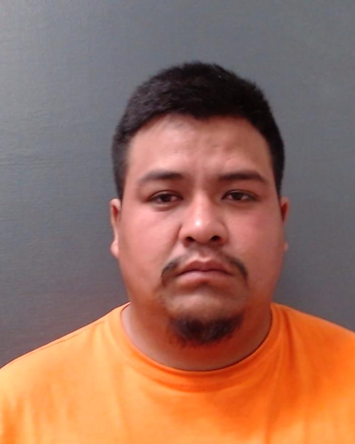 GONZALEZ-SILVA, LUIS ANGEL booking photo