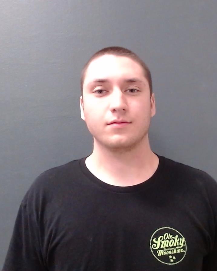 LANDIS, DARREN LEE booking photo