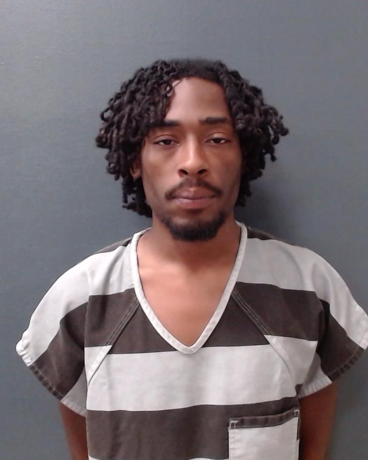 AUSTIN, RONNY GLEN booking photo