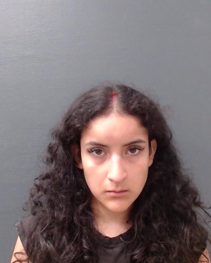 GONZALEZ, SAMANTHA LEE booking photo