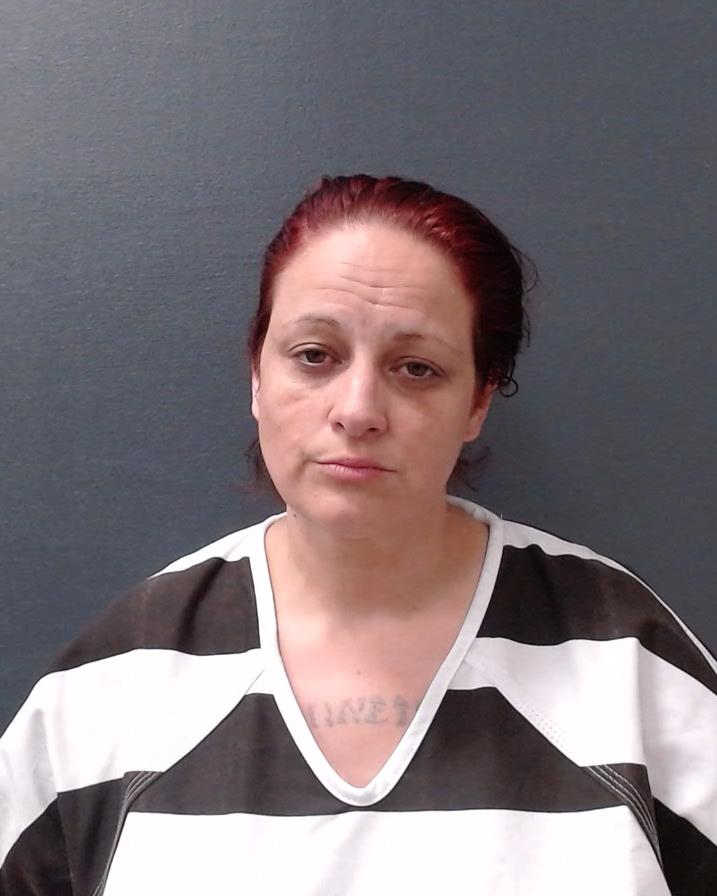 SANTUCCI, VERNA GAIL booking photo