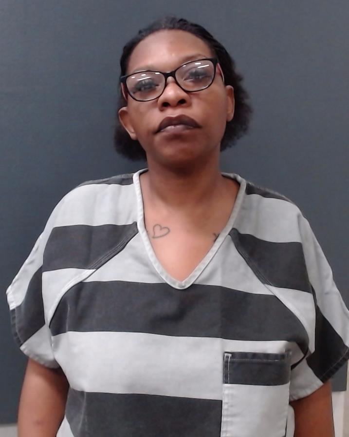 TURNER, TARA MARIE booking photo