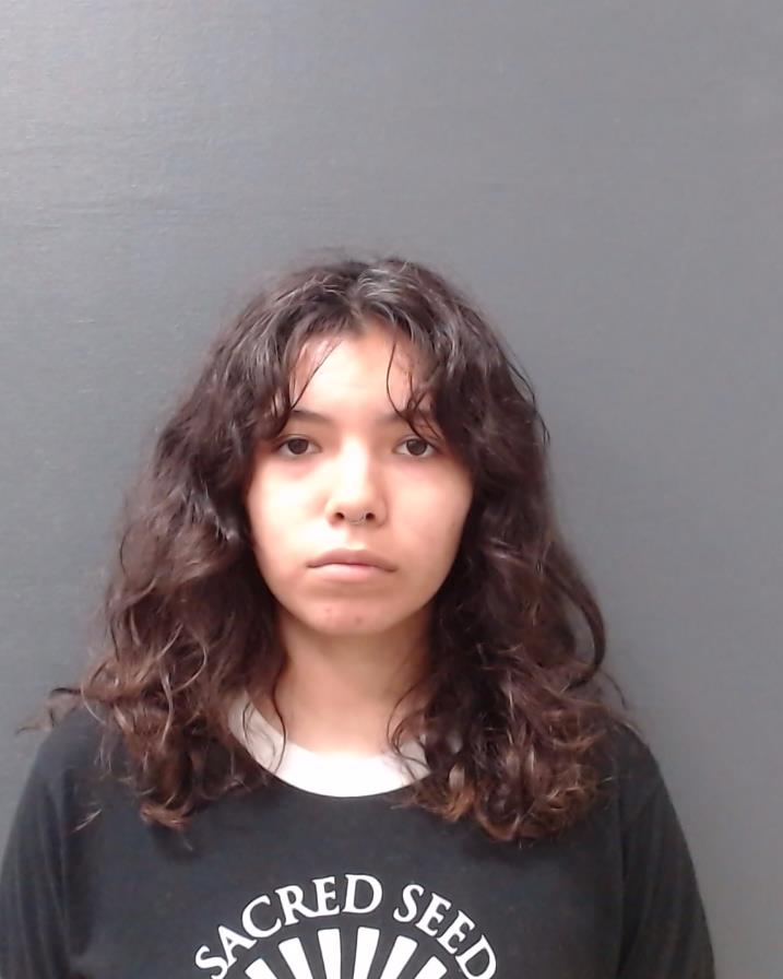 ROSALES, JOCELYN ANGEL booking photo