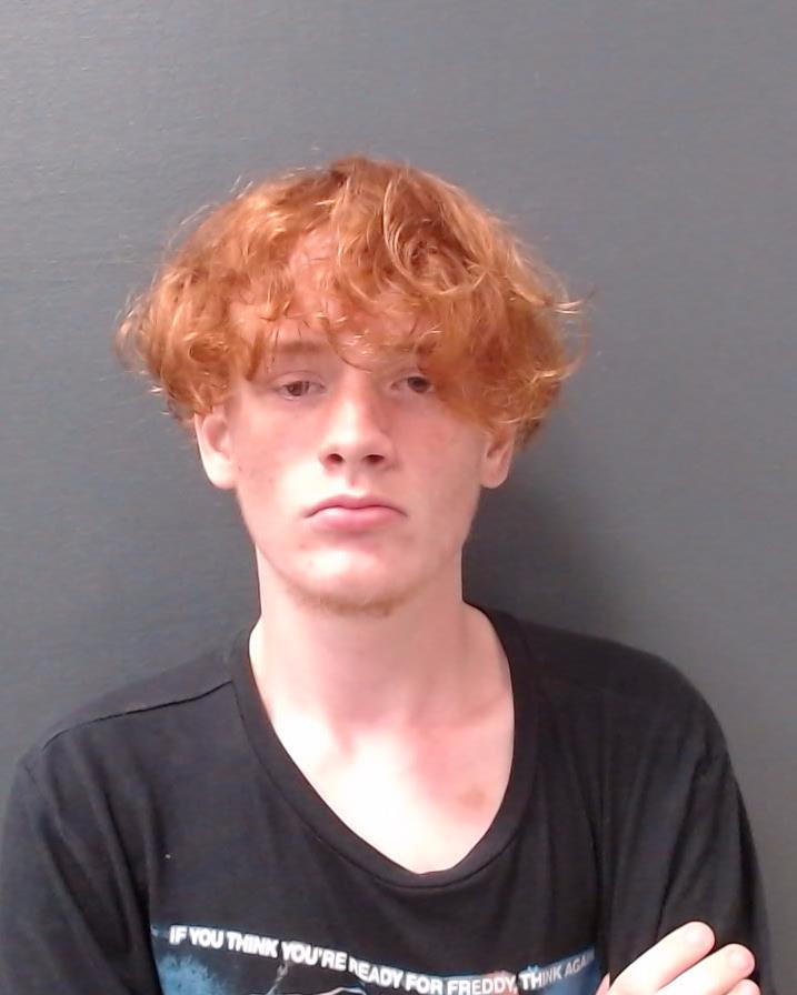 MIKESH, BRIAN MARCEL booking photo