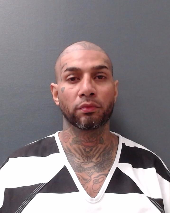 IQBAL, SHAHEEN AKHTER booking photo