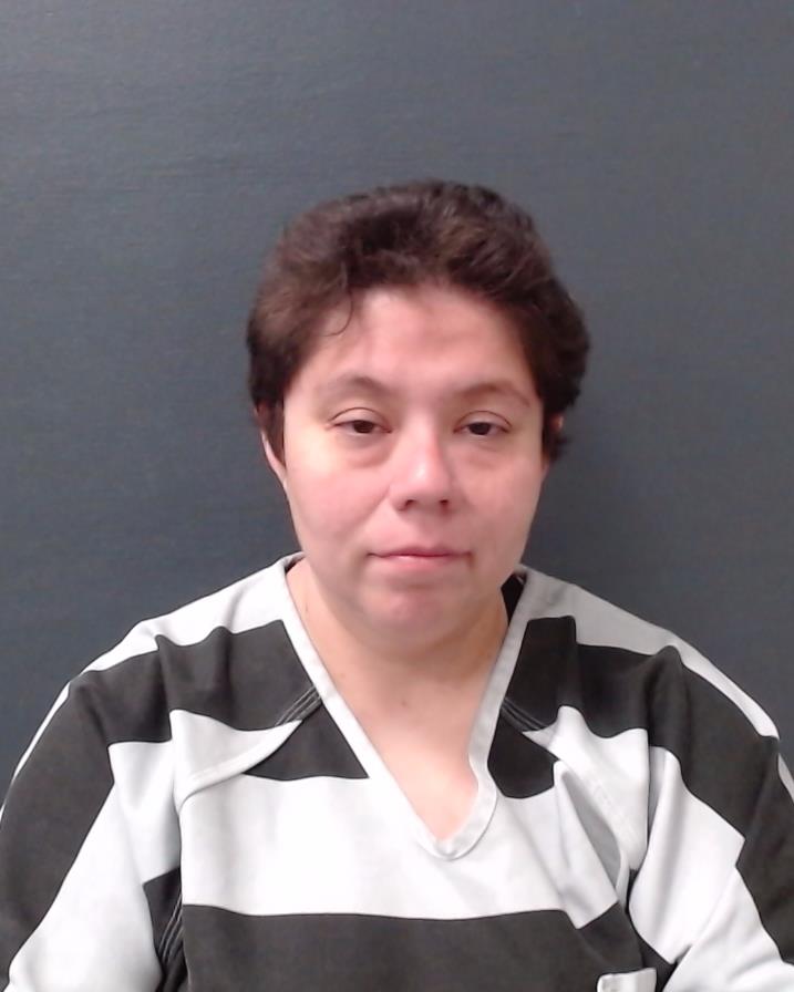 KING, LISA JAQUELINE booking photo