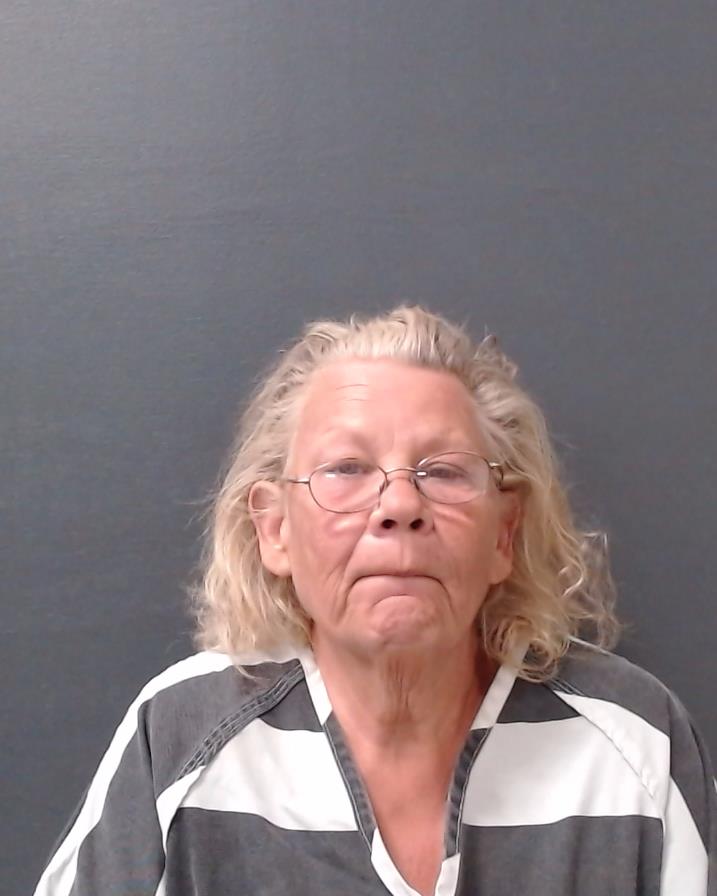 DOLINSKI, SUSAN GAIL booking photo