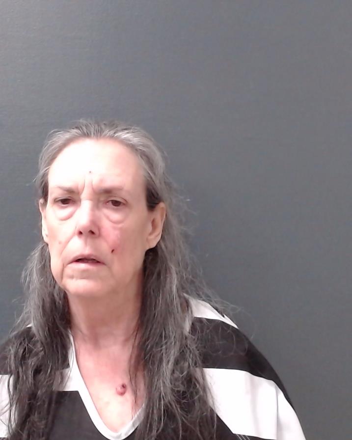 BIDIGARE, LINDA ANN booking photo