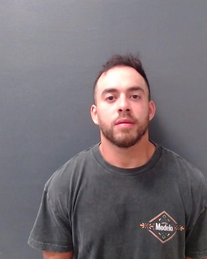 CORTES-ARIZMENDI, FAVIANNI booking photo