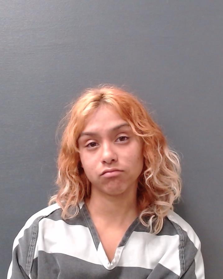 CISNEROS, YOLANDA PETRA booking photo