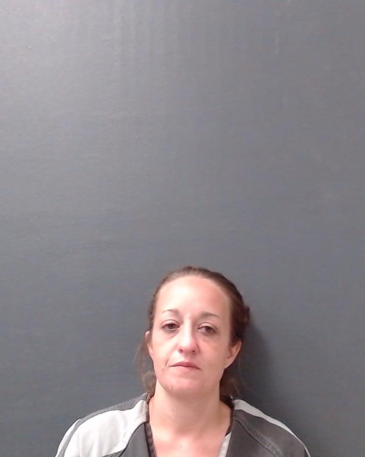 YOUNG, MEGAN LINDSEY booking photo