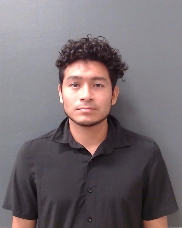 RAMIREZ PALACIOS, WILLIAN ARNOLDO booking photo