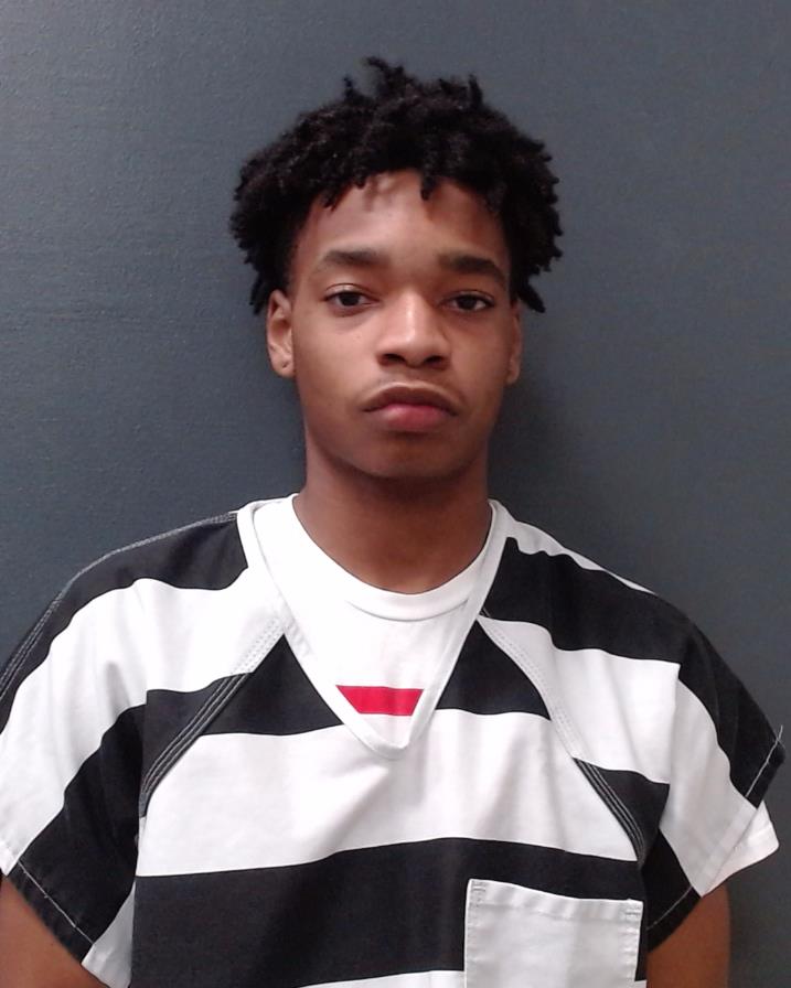 WILLIAMS, TYLER MICHEAL booking photo