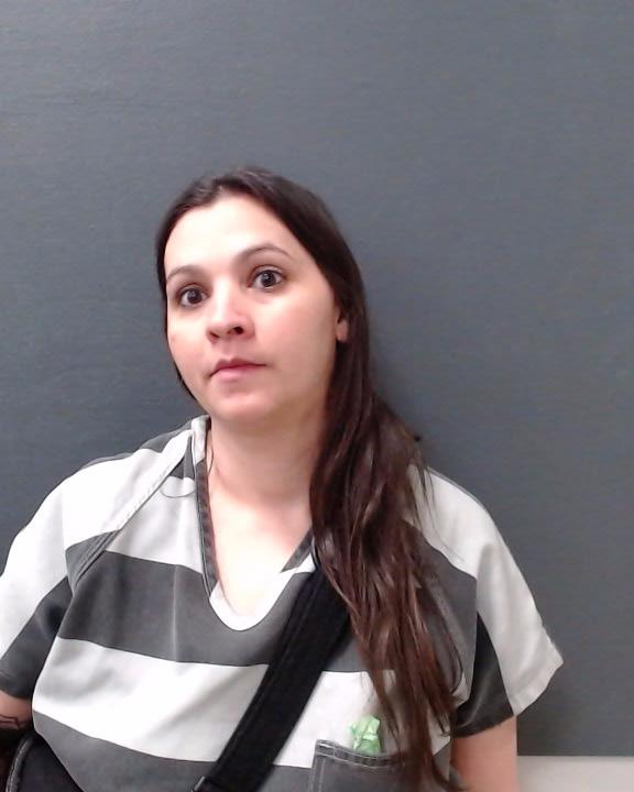 VILLEGAS, ELIZABETH ANN booking photo